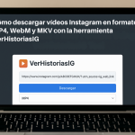 Cómo Descargar Vídeos Instagram En Formato MP4, WebM y MKV Con La Herramienta VerHistoriasIG