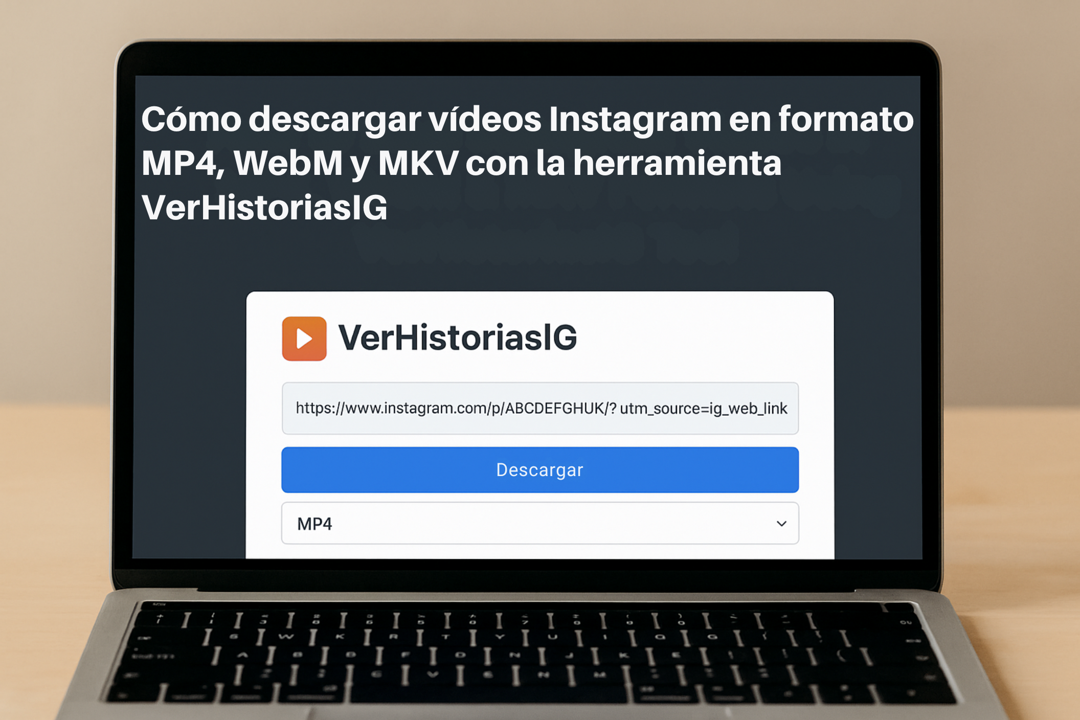 Cómo Descargar Vídeos Instagram En Formato MP4, WebM y MKV Con La Herramienta VerHistoriasIG