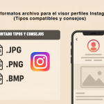 Formato Archivo Del Visor Perfiles Instagram Guía (Tipos Compatibles y Consejos)